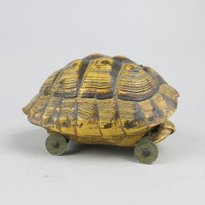 Tortoise shell on wheels