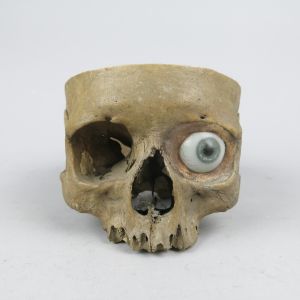 Human skull 7