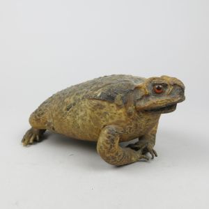 Large Toad (antique)