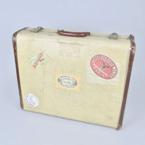 Suitcase 8