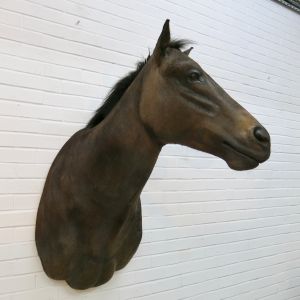Horse 2 (seal brown)