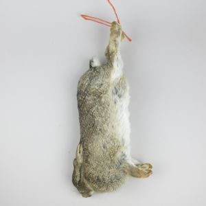 Single hanging rabbit