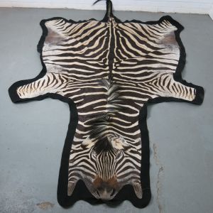 Zebra skin 3