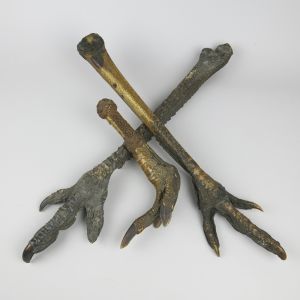 Cassowary feet