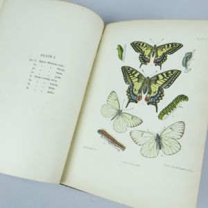 Book, butterflies