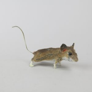 Mouse 1