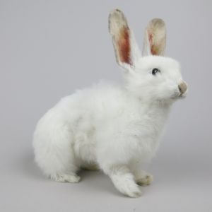 White Rabbit 2