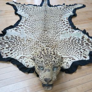Leopard skin 3
