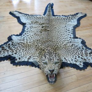 Leopard skin 1