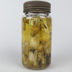 Pickled Fish, insects etc (Kilner jar)