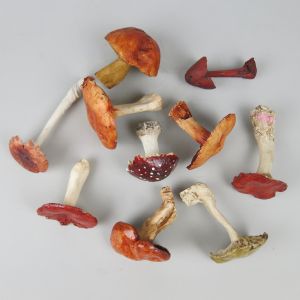 Mushrooms (red)