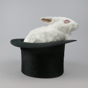 Albino rabbit 2 (in top hat)