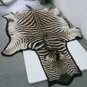Zebra skin 4