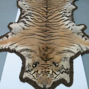Tiger skin, flat head, no.1