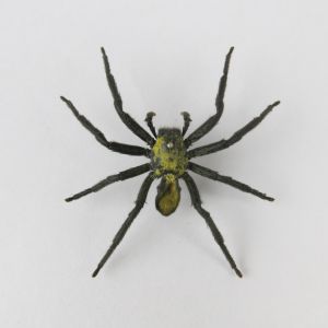 Spider (black)