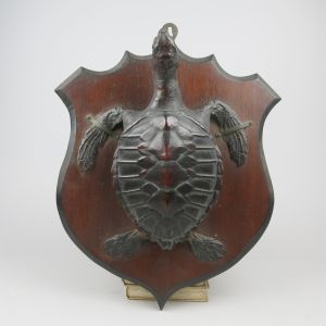 Turtle mounted on shield