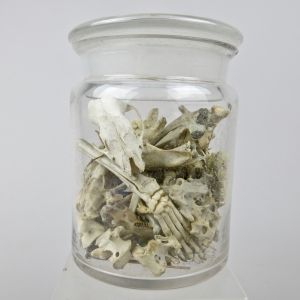 Jar of animal bones