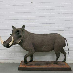 Warthog, full mount