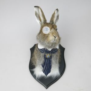 Gentleman Hare