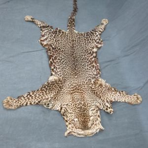 Leopard skin 6