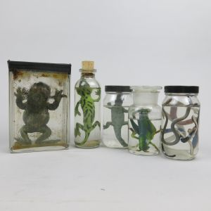 Rubber specimens in jars
