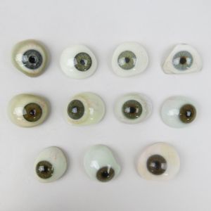 Glass eyes (human)