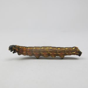 Caterpillar 1