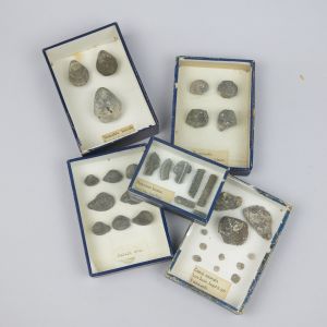 Museum boxed fossils x 5