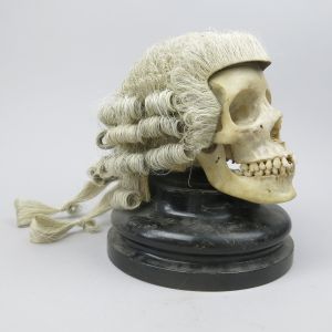 Human skull 5 with wig