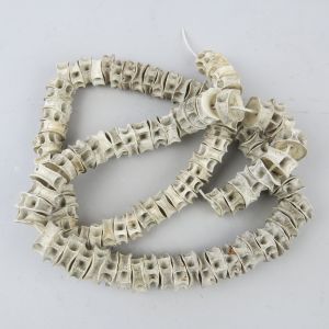 Shark vertebrae