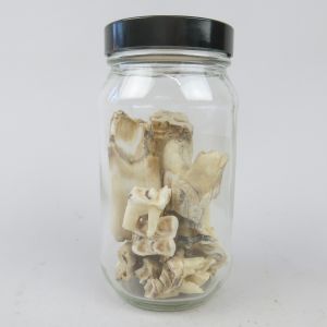 Jar of horse teeth