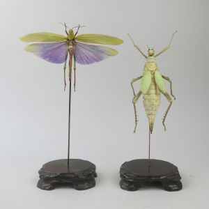 Insects on stands x 2