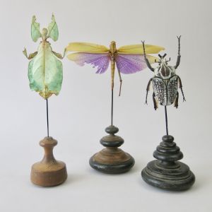 Insects/beetle on stands x 3